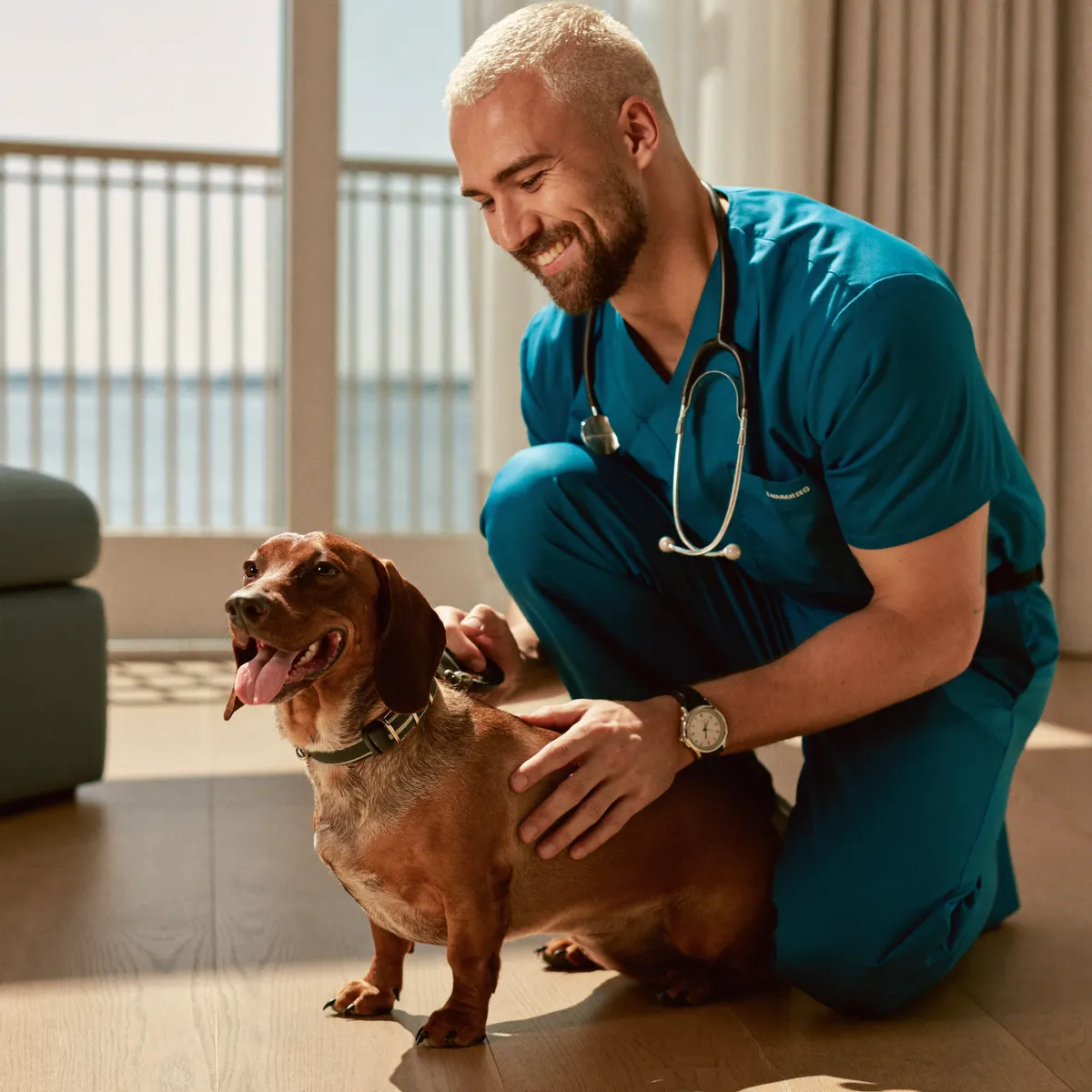 Mobile veterinarian calmly examining a dog during an in-home visit in Cape Coral, Florida
