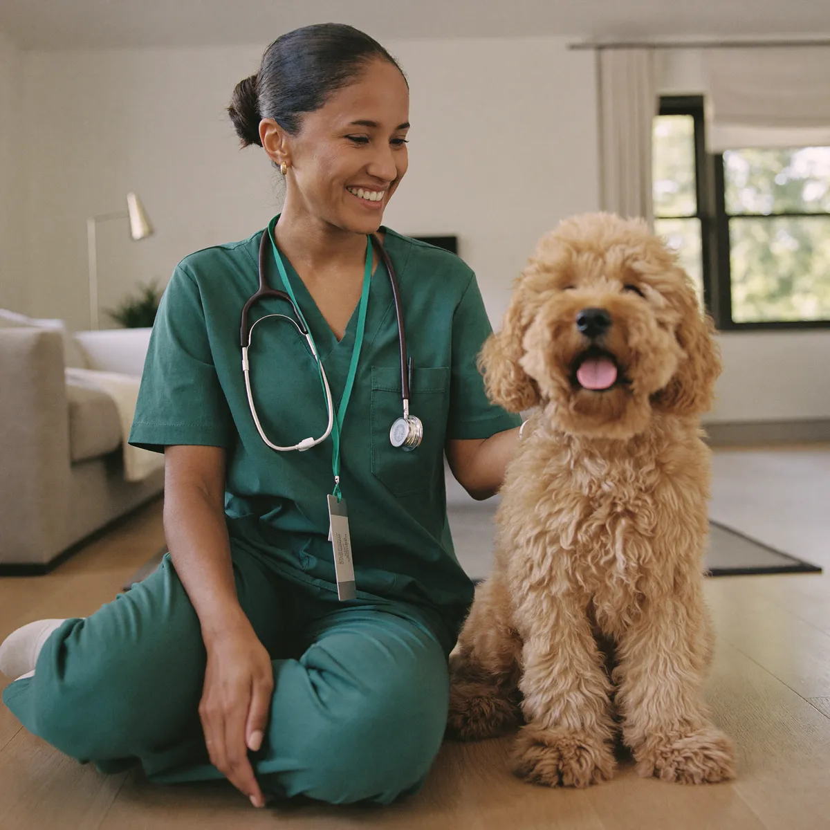 A house-call veterinarian checking over a happy dog during an in-home visit near the University of Florida