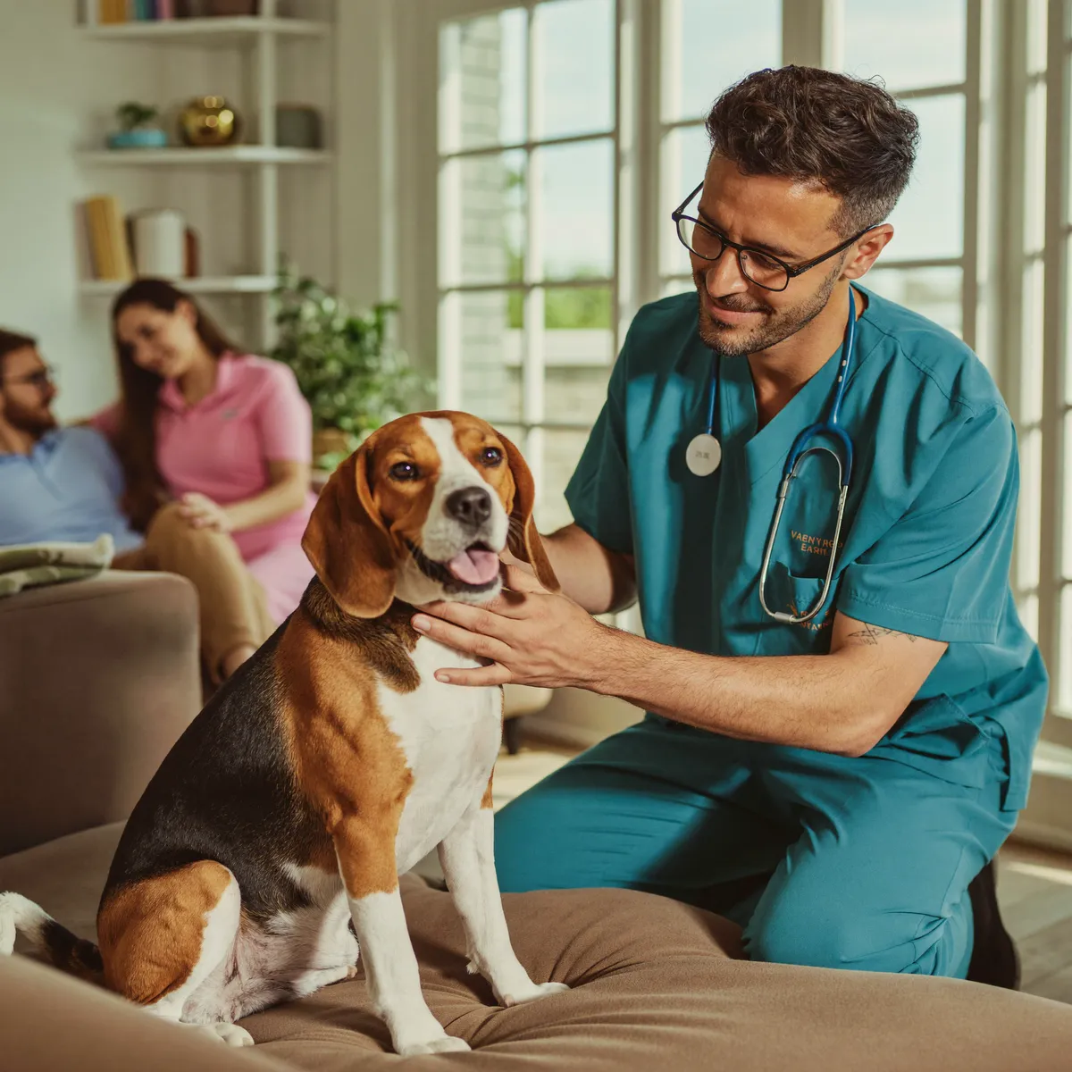 Veterinarian giving a calm at-home checkup to a dog in a Jacksonville living room