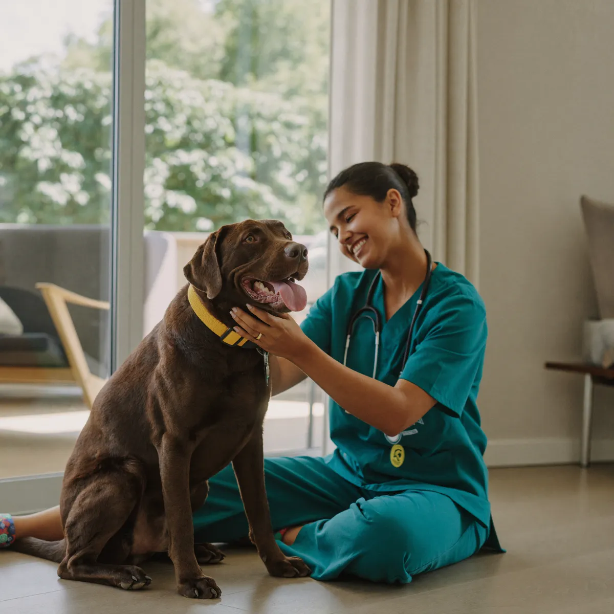 Total Vet doctor giving a calm at-home checkup to a dog in Tampa, Florida